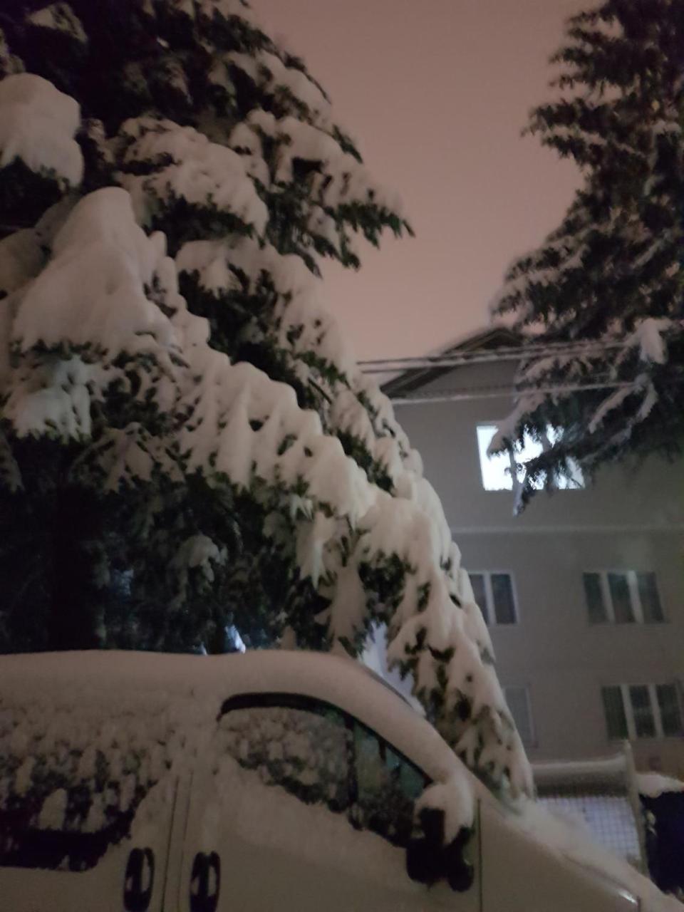 Cosy And Chic... Parking Included Apartamento Saraievo Exterior foto